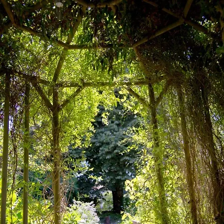 Bed & Breakfast Pont Vieux D'hotes